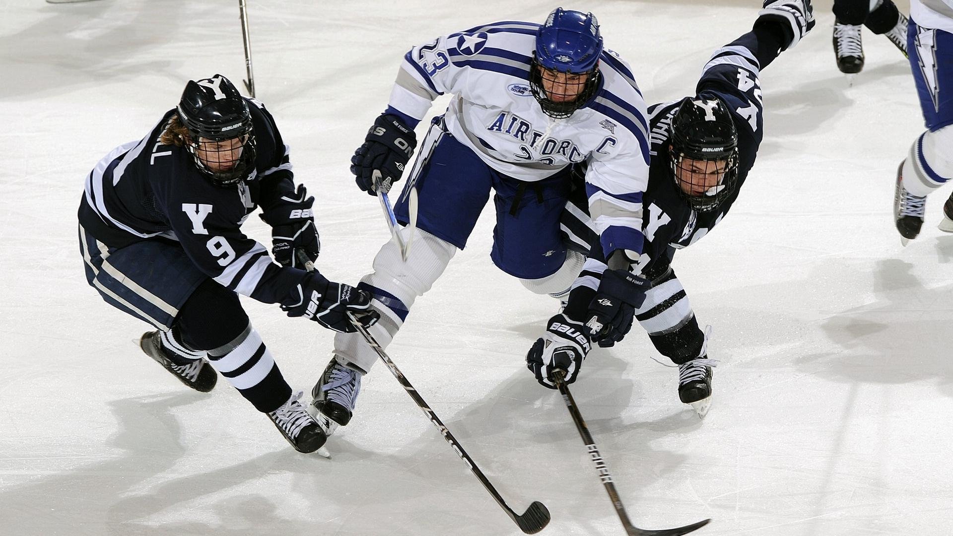蜂鸣震天，保罗全能风暴席卷北境，黄蜂连续得分狂潮窒息猛龙